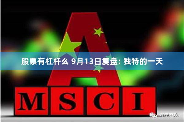股票有杠杆么 9月13日复盘: 独特的一天