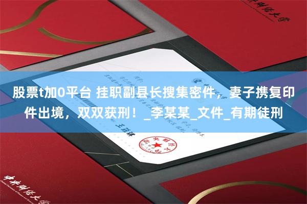 股票t加0平台 挂职副县长搜集密件，妻子携复印件出境，双双获刑！_李某某_文件_有期徒刑