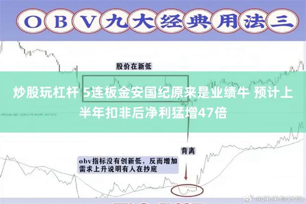 炒股玩杠杆 5连板金安国纪原来是业绩牛 预计上半年扣非后净利猛增47倍